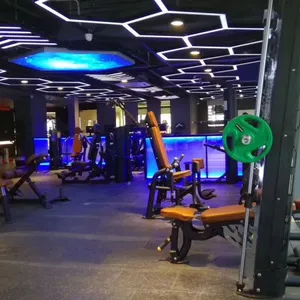 Wholesale Low Back Machine for Exercise thumbnail-4