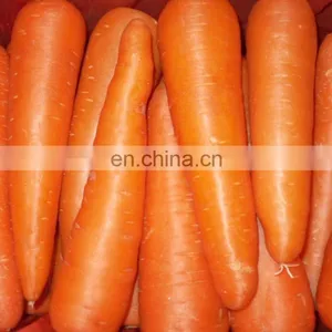 Sinocharm A Grade 2022 Crop IQF Frozen Carrot Strip thumbnail-4