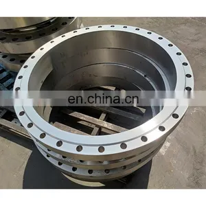 Wholesale OEM Carbon Steel A105 Stainless Steel 304 316L Forged Flange thumbnail-4