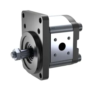Gear Pump thumbnail-3