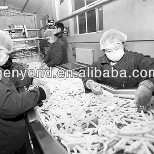Automatic Frozen Fruit & Vegetable Processing Line thumbnail-3