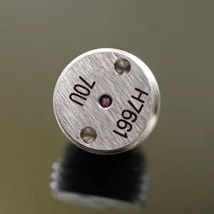 Nozzle Assy 70um 55um 40um for Alphajet Rottweil KBA Metronic Inkjet Coding Printer thumbnail-1