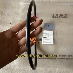 Original Sany A820606020001 O-Ring Seal Kits For Sany Concrete Pump Spare Parts thumbnail-4