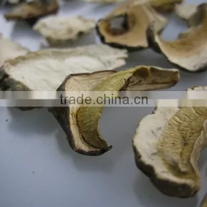 Boletus Edlie Form Yunnan thumbnail-4