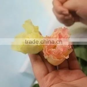 Best Quality Useful Natural Flower Eustoma thumbnail-5