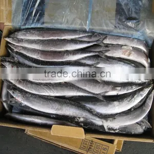 Frozen Saury thumbnail-1