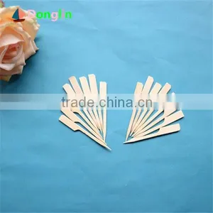 BBQ Appetizer Martini Bamboo Picks Skewer for Party thumbnail-1