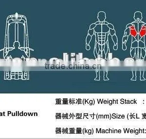 Gym Body Building Equipment /best Selling/TZ-6020 Lat Pulldown thumbnail-6