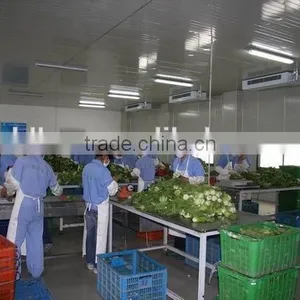 High Performance Horizontal Pillow Packaging Machinery for Vegetables CB-600 thumbnail-2