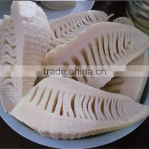 Seasoned Fresh Bamboo Shoots With Tin ,best Price,good Taste,natural Grow thumbnail-2