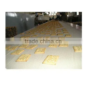 Cookies Biscuit Machine thumbnail-1