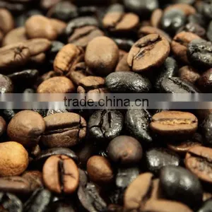 Indian High Quality Roasted Arabica Coffee Beans for Sale thumbnail-5