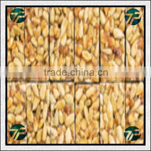 High Speed Easy Operation Peanut Brittle Cutting Machine for Sale thumbnail-5