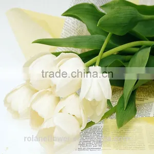 Hot Selling Cut Fresh Flower White Tulip Bulbs to Export thumbnail-2