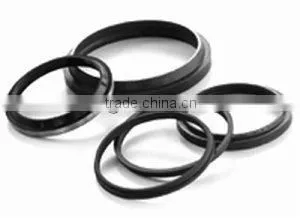 Performance Rubber Gasket thumbnail-1