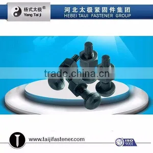 Torque Shear Bolts With Nuts and Plain Washers thumbnail-4