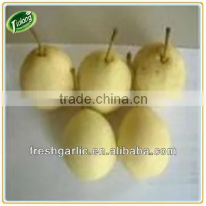 Fresh Chinese ya Pear thumbnail-1