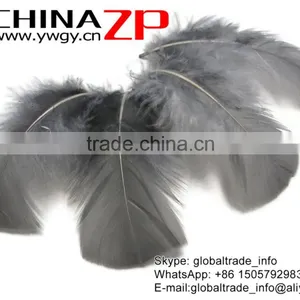CHINAZP Hottest Plume Items Wholesale Dyed Grey Turkey T-Base Body Plumage Feathers for Decorations thumbnail-2