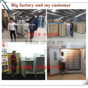 Fully Automatic Egg Turner/motor for Incubator 24~50688 Eggs 008615965977837 thumbnail-6