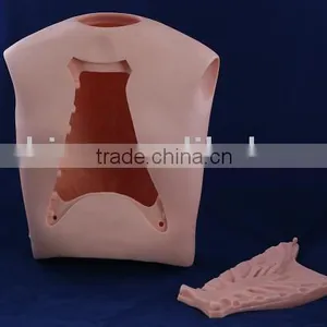 Acupuncture Model thumbnail-1
