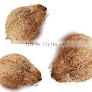 FRESH COCONUTS FROM INDIA thumbnail-3