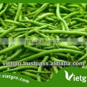 High Quality Fresh Organic French Beans VGFB0011 thumbnail-1