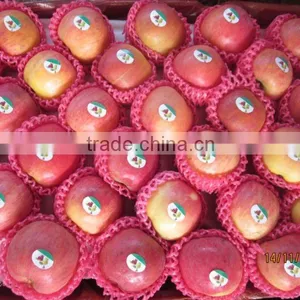 Red Fuji Apple Latest Crop thumbnail-1