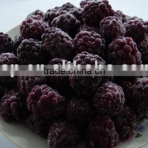 Frozen Blackberry thumbnail-1