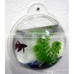 Fish Bowl thumbnail-1