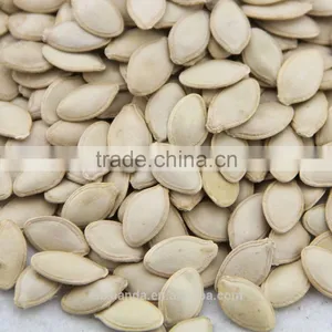 Wholesale Edible White Pumpkin Seed Price thumbnail-1