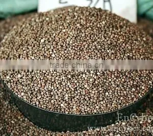 Herbel Clod Pressed Tech Perilla Seed Oil Useful thumbnail-3