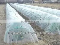 UV Agricultural Greenhouse Plastic Mulch Film thumbnail-3