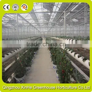 Hydroponic Greenhouse Systems/Selling Used Greenhouse For Agriculture And Horticulture thumbnail-1