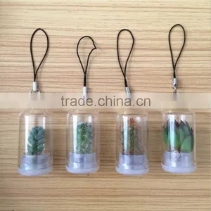 Wholesale Factory Cheap Glass Potted Meaty Cactus Plant Keychain, Super Mini Personal Gift Decorative Keychain Plant Design thumbnail-1