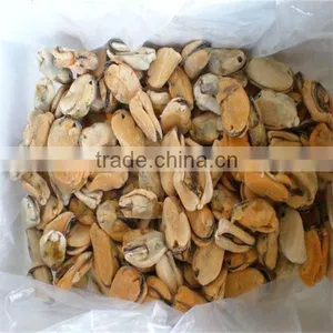 Frozen and Cooked Mussels in Shell thumbnail-1