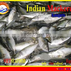 FROZEN W/R INDIAN MACKEREL thumbnail-1
