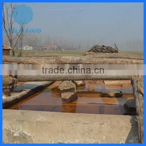 Factory Price Paulownia Wood for Coffin Supplier thumbnail-1