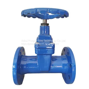 Wholesale Resilient Seated Flanged Gate Valve thumbnail-1