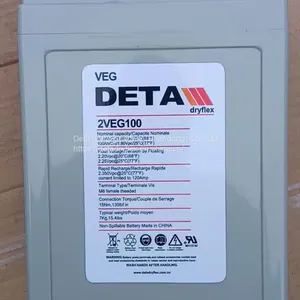 DETA BATTERY Dryflex 2VEG100 2V100Ah thumbnail-1