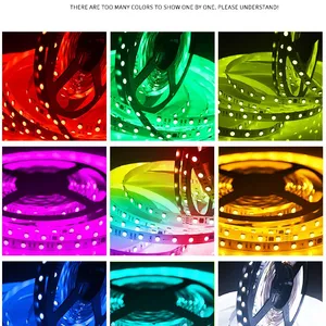 LC8824 DC36V RGBW UCS2904 5050 Digital LED Light Strip 2904 RGBW 30M Pixel Smart Control Led Strip Lighting thumbnail-5
