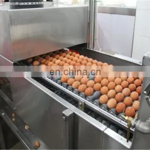 Hot Sale Egg White Powder Production Line thumbnail-3