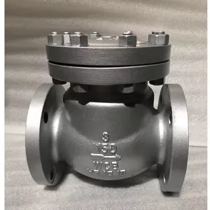 API WCB PN16 2in/4in/6in 150lb/300lb ANSI Cast Steel Stainless Steel Lift Swing Flange Check Valve thumbnail-6