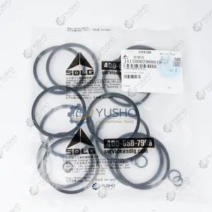 SDLG Seal Kit for Wheel Loader LG918 J4110002988019 Genuine OEM thumbnail-3