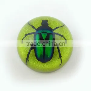 2016 Latest Design Meaningful Paperweight for Promotion Gift With Real Insect thumbnail-6