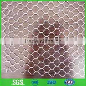 Professional Supplier Hexagonal Wire Mesh for Gabion thumbnail-1