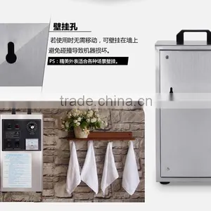 LY 903A Ozone Sterilizer Machine for Car,house Room,food,air thumbnail-6