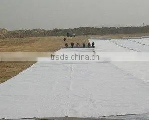 120g per m2 Polypropylene Non Woven Fabric Geotextile for Swimming Pool thumbnail-6