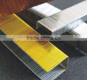 5000 Staples 20GA thumbnail-1