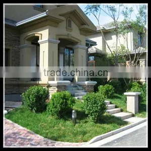 Steel Frame Glass Door&window for House thumbnail-1