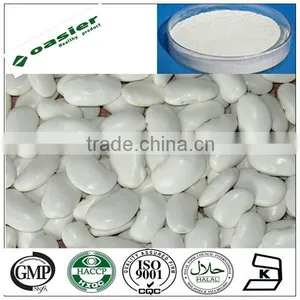 GMP White Kindey Bean Extract Powder thumbnail-1
